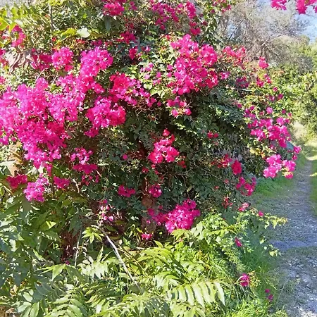 La Tenuta Moscatella A 200m Dal Mare *